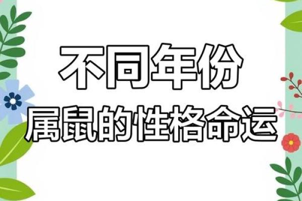 1996年属鼠今年的运势