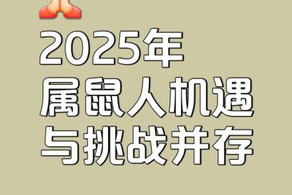 鼠今年的运势如何2025 鼠今年的运势如何2025