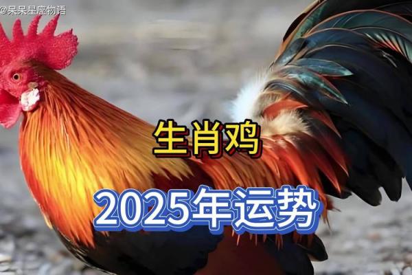 属鸡的今年多大2025年_93年属鸡的人2025年运势怎么样 属鸡的今年多大2025年_93年属鸡的人2025年运势怎么样