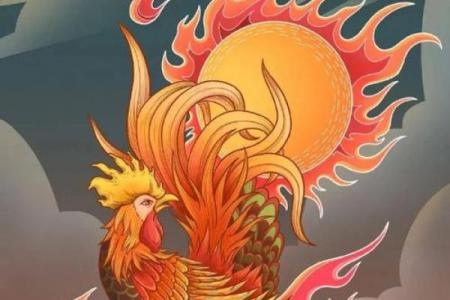 十二生肖属鸡的命运怎么样 属相十二生肖鸡的命运