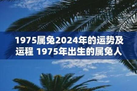 1975兔人2025年全年运程怎样 1975年兔人2025年全年运程详解及运势预测
