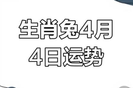 2025年生肖兔全年运程_2025年生肖兔全年运程如何
