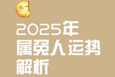 2025年属兔的人多大 2025年属兔的人多大年龄计算与运势解析