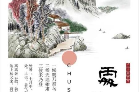 秋高气爽指什么生肖