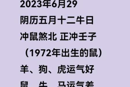 壬子鼠2025年运势大全