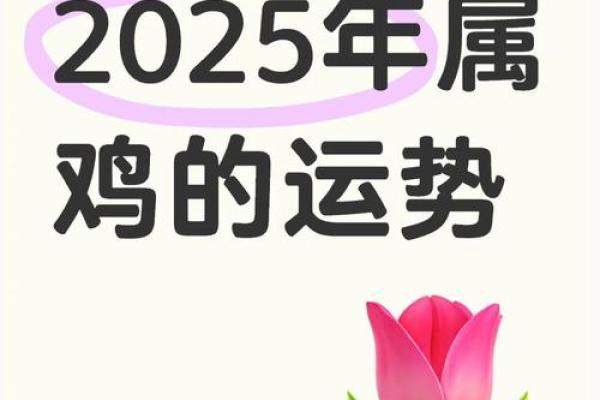 属鸡人2025全年运势运程_1981年属鸡2025年运势 属鸡人2025全年运势运程_1981年属鸡2025年运势