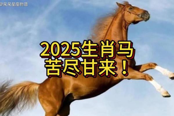 2025年马运势_2025年马运势2002年的人运势 2025年马运势_2025年马运势2002年的人运势
