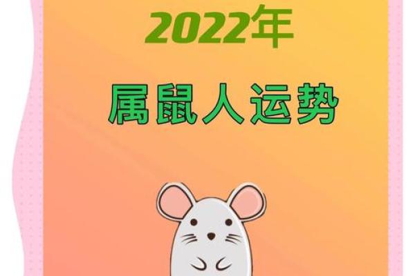 今日属鼠的运势 今日属鼠的运势
