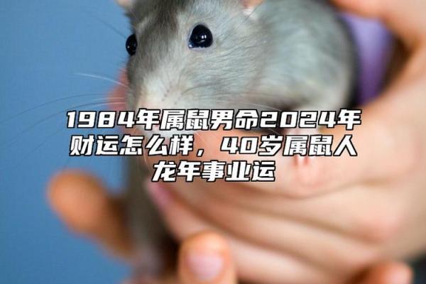 1996年属鼠男今年运势