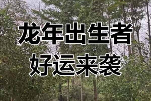 属龙2025年运势如何_2025年属龙人全年运势大解析逐月运程全揭秘 属龙2025年运势如何_2025年属龙人全年运势大解析逐月运程全揭秘