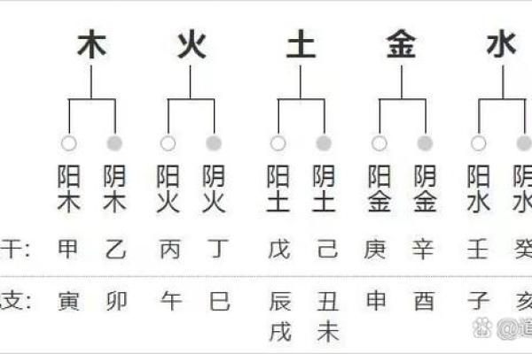 2000年属龙五行属什么命_属龙什么命五行属性表