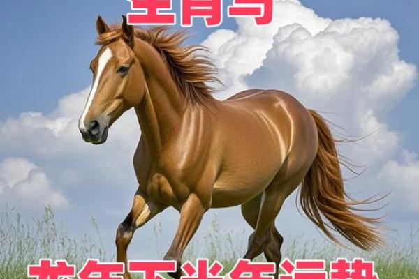 2025年属马不适合穿什么颜色_属马的在2025年的运势好不好呢 2025年属马不适合穿什么颜色_属马的在2025年的运势好不好呢