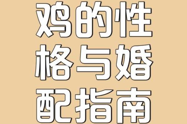属鸡的人和什么属相合作最好 属鸡的人和什么属相合作最好呢