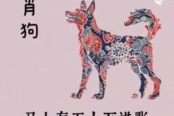 属狗人今年运势2025年每月运势_属狗2025运势及运程 属狗人今年运势2025年每月运势_属狗2025运势及运程