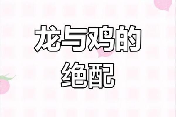 男属鸡女属龙相配吗 2024年农历五月解析男鸡女龙婚配相宜吗