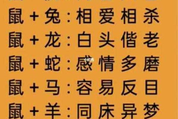 水乳交融是什么生肖