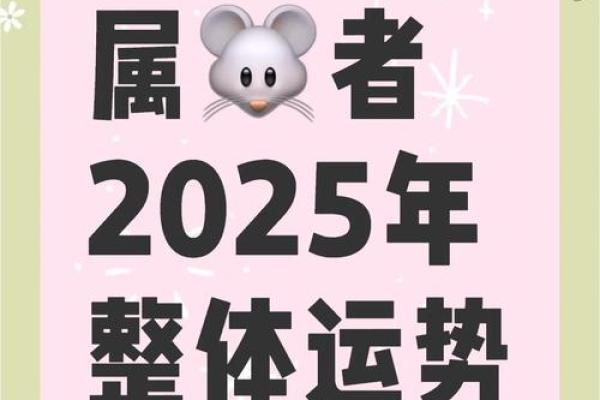 生肖鼠今年运势 生肖鼠今年运势
