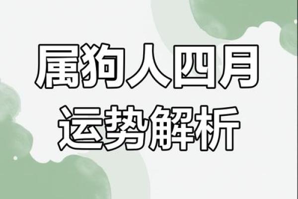 属狗虚岁多大2025_属狗的2021年虚岁多大年龄 属狗虚岁多大2025_属狗的2021年虚岁多大年龄