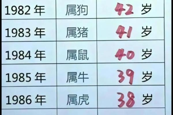 属龙人2025年多大_2025年属龙人年龄详解各月出生年份对照表 属龙人2025年多大_2025年属龙人年龄详解各月出生年份对照表