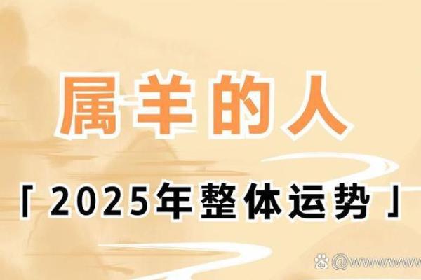 属羊2025年几岁 2025年属羊人年龄揭秘你几岁了 属羊2025年几岁 2025年属羊人年龄揭秘你几岁了
