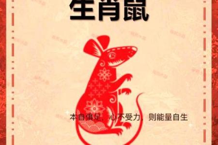 2025年属鼠人运势