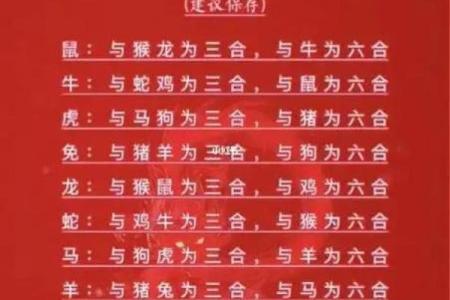 2002年的马最佳婚配是属什么_2002年马婚配属相最好