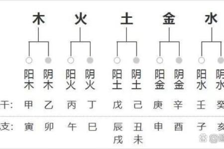 2000年属龙五行属什么命_属龙什么命五行属性表
