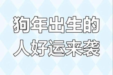 82年的狗在2025年的运势怎么样_2025年82年属狗人运势解析财运事业感情全揭秘