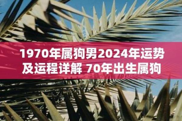 1970年属狗2025年幸运色 1970年属狗2025年幸运色揭秘助你运势飙升 1970年属狗2025年幸运色 1970年属狗2025年幸运色揭秘助你运势飙升