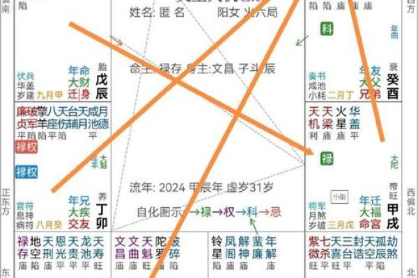 2025年4月18日丑时女命紫微斗数全解盘