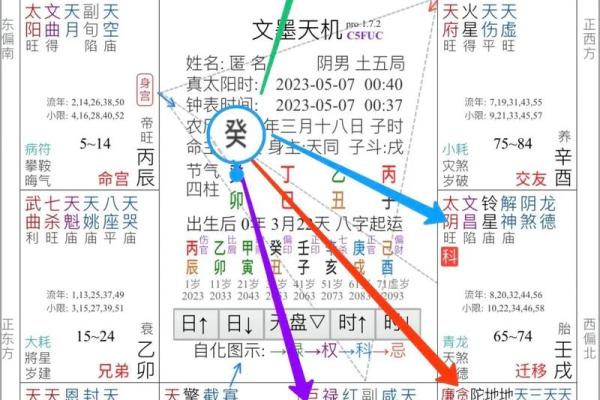 2025年4月9日酉时女命紫微斗数全解盘 2025年4月9日酉时女命紫微斗数全解盘