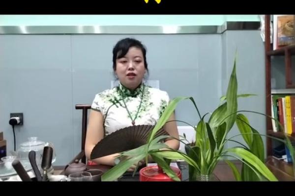 狗2025年运势_2025年狗年运势解析财运健康感情全预测 狗2025年运势_2025年狗年运势解析财运健康感情全预测