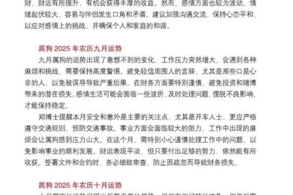 2025年属狗财运解析运势如何提升 2025年属狗财运解析运势如何提升