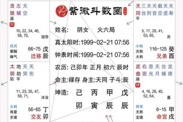 2025年4月14日辰时女命紫微斗数全解盘 2025年4月14日辰时女命紫微斗数全解盘