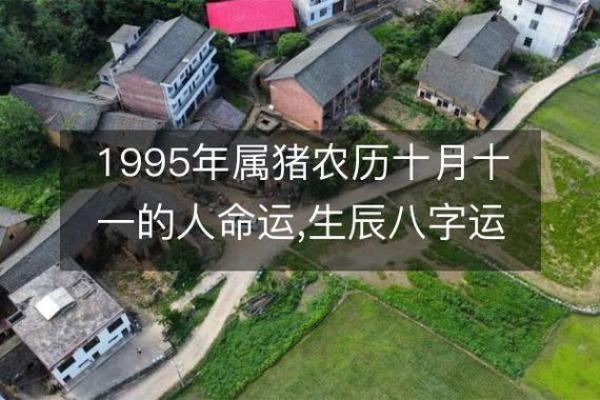 1996年2月11日出生属猪还是鼠生肖解析 1996年2月11日出生属猪还是鼠生肖解析