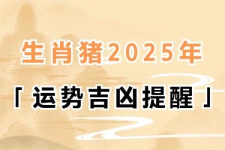 猪2025年运势及运程_2025年猪年运势详解财运事业爱情全解析