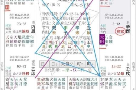 2025年4月18日辰时女命紫微斗数全解盘