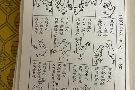 属鸡和属狗的合作财运怎么样_鸡和狗在一起谁带财