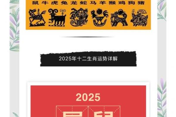 1996年属鼠人2025年运势 1996年属鼠人2025年运势