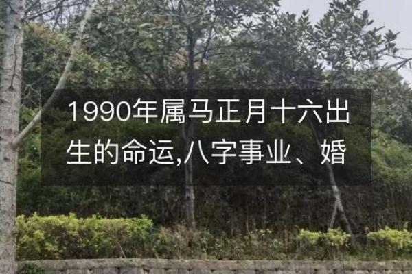 1990年属马人运势 1990年属马今天的运势