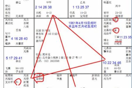 2025年4月28日戌时女命紫微斗数全解盘