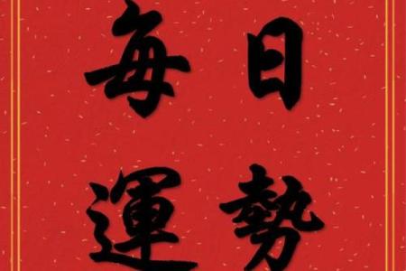 96年老鼠今年运势