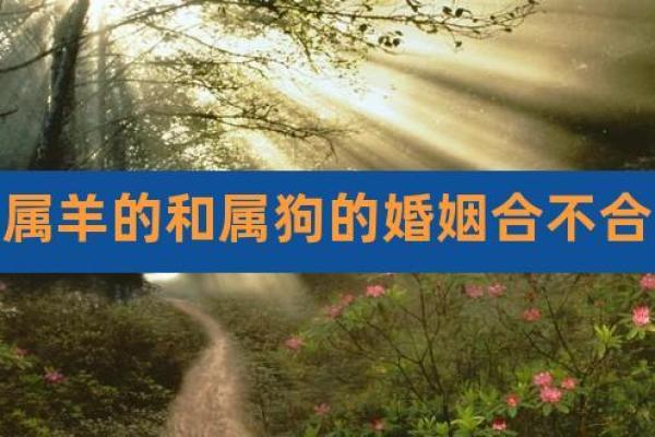 属羊男跟属狗女相配吗_属羊男与属狗女婚配合适吗 属羊男跟属狗女相配吗_属羊男与属狗女婚配合适吗