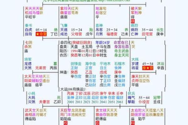 2025年4月29日寅时男命紫微斗数全解盘 2025年4月29日寅时男命紫微斗数全解盘
