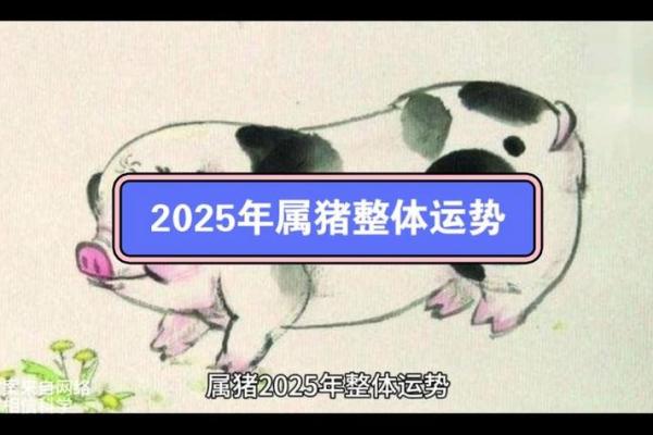 1995属猪2025年运势_1995属猪2025年运势如何 1995属猪2025年运势_1995属猪2025年运势如何