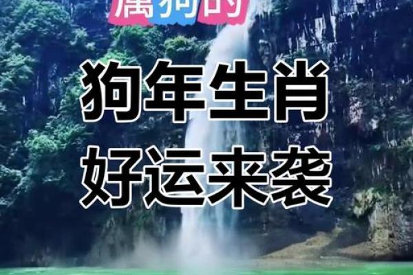 1982年属狗2025年每月运势完整版 1982年属狗2025年每月运势详解及运势预测 1982年属狗2025年每月运势完整版 1982年属狗2025年每月运势详解及运势预测