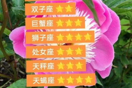 巨蟹座今天的财运(巨蟹座今天的财运方位是什么)