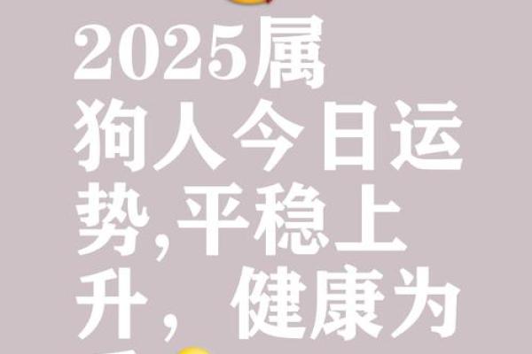 1982年属狗男2025年运势详解事业财运与感情运程预测 1982年属狗男2025年运势详解事业财运与感情运程预测