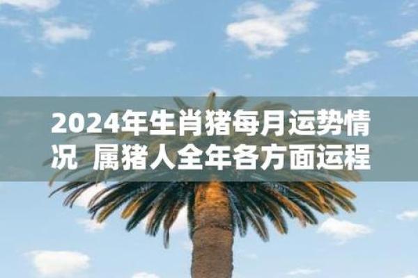生肖猪2024年全年运势 2024年生肖猪全年运势详解财运事业爱情全面解析 生肖猪2024年全年运势 2024年生肖猪全年运势详解财运事业爱情全面解析