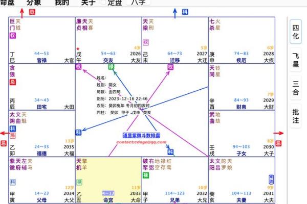 2025年4月17日辰时女命紫微斗数全解盘 2025年4月17日辰时女命紫微斗数全解盘